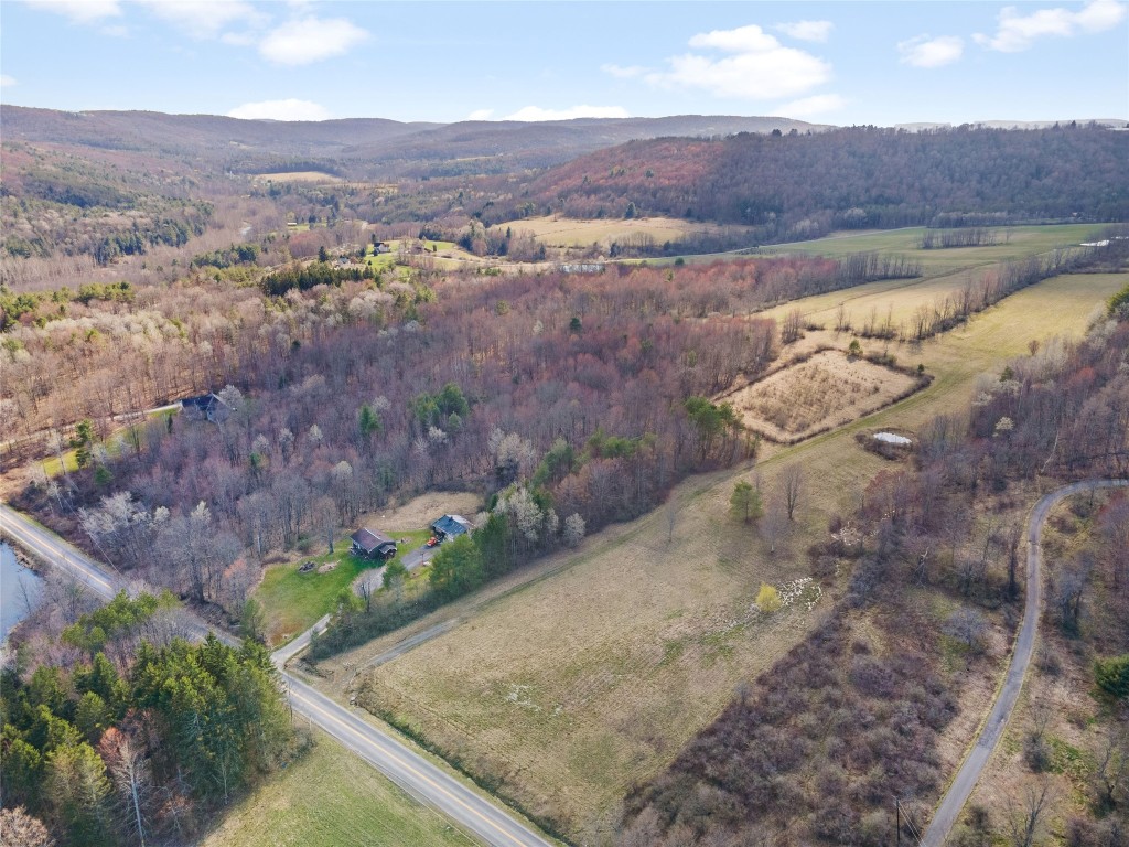4700 Murphy Road Conklin, NY 13903 - Photo 6 of 13 Gallery Image 6