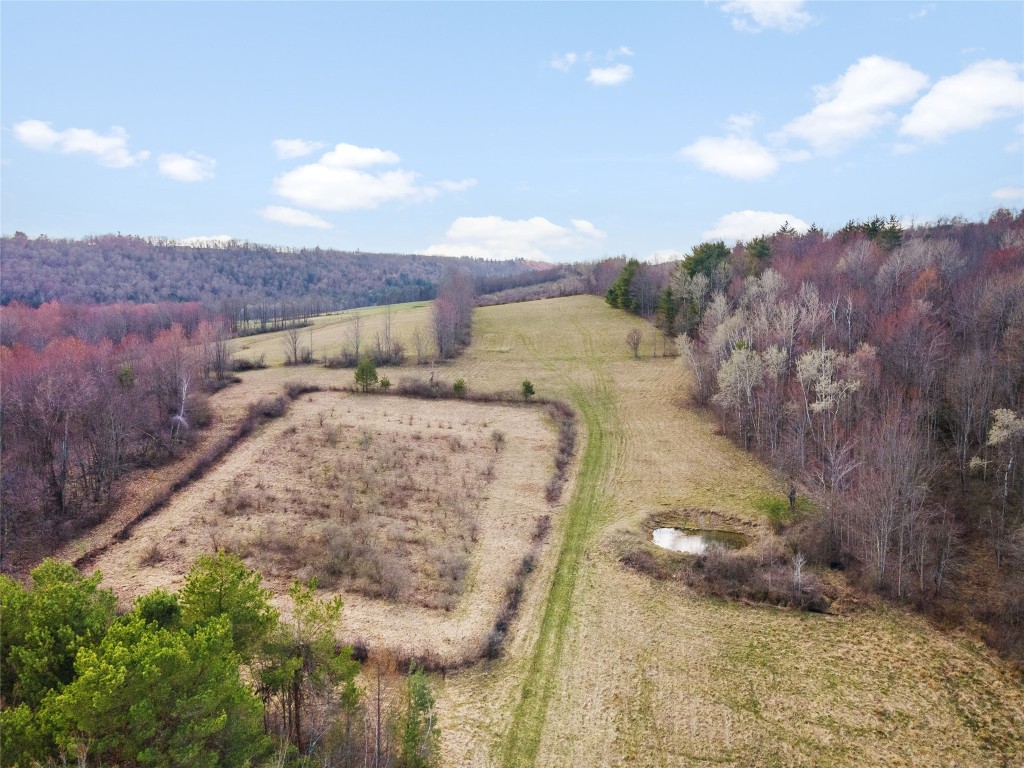 4700 Murphy Road Conklin, NY 13903 - Photo 7 of 13 Gallery Image 7