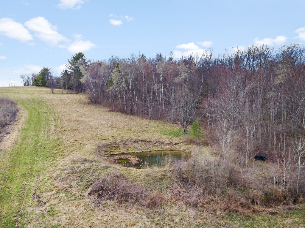 4700 Murphy Road Conklin, NY 13903 - Photo 8 of 13 Gallery Image 8