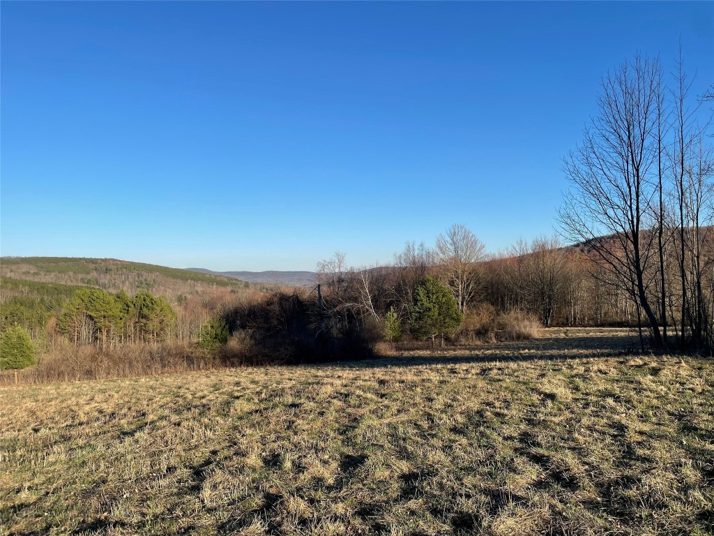 4700 Murphy Road Conklin, NY 13903 - Photo 10 of 13 Gallery Image 10
