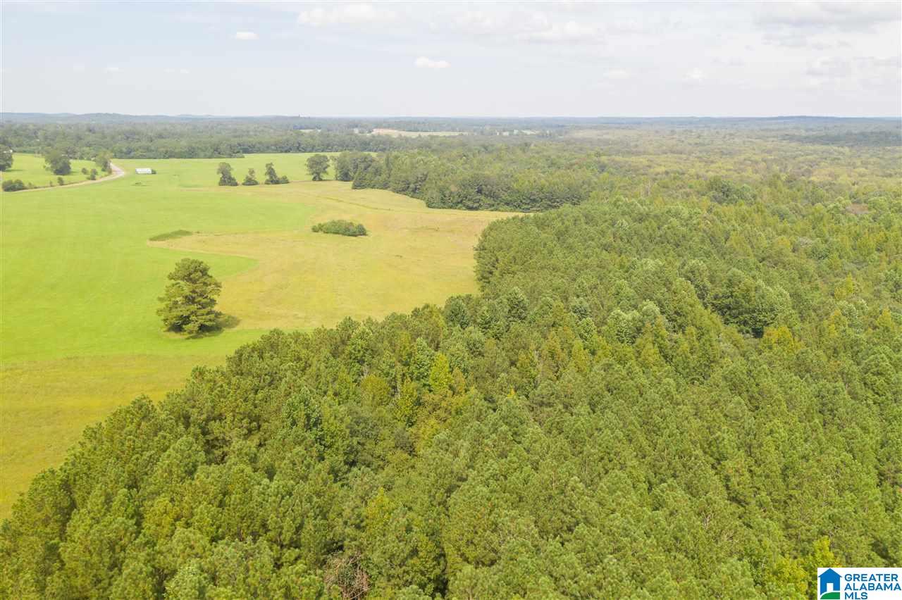 205 County Road 3 Reform, AL 35481 - Photo 20 of 46