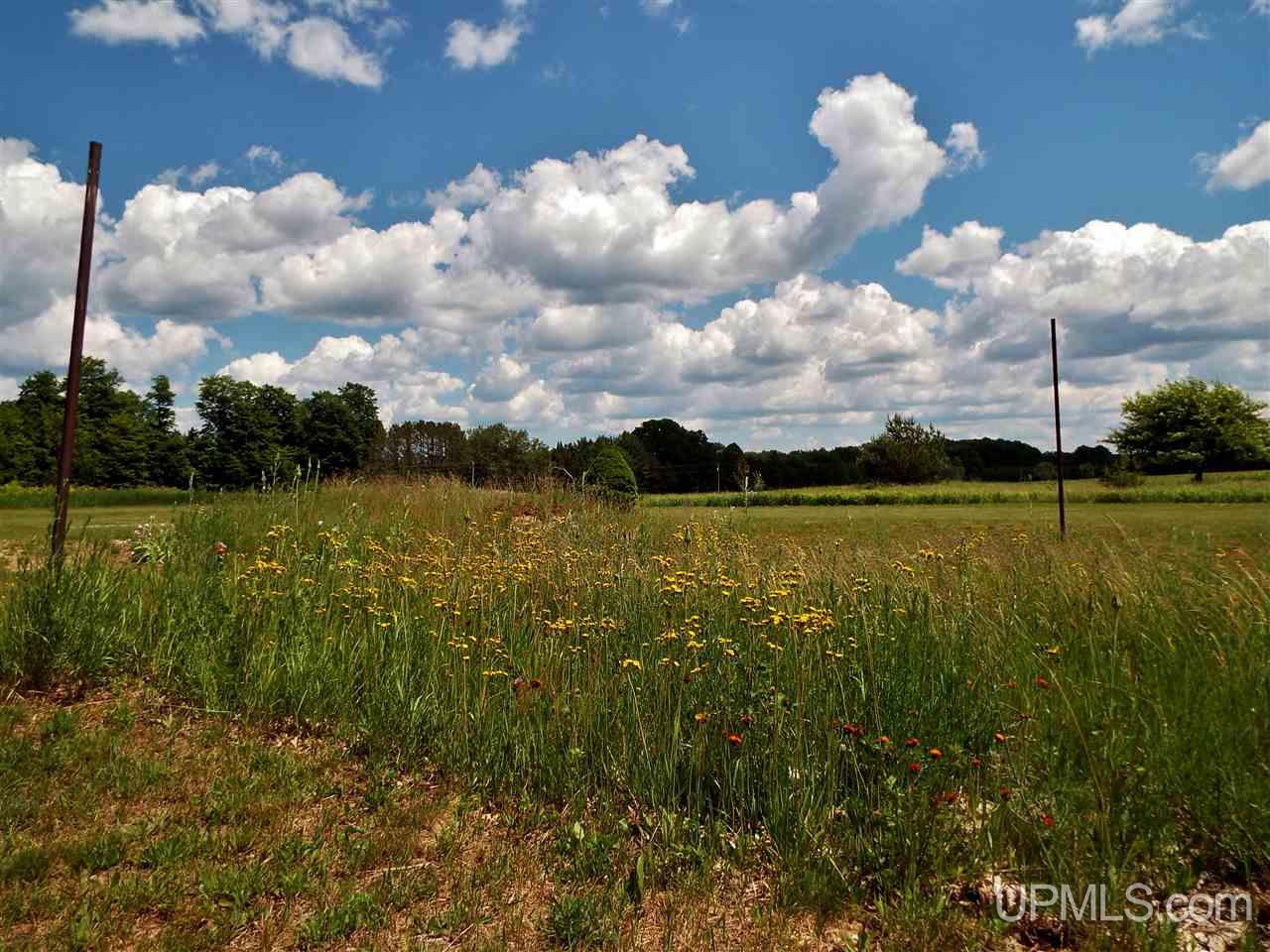 1160 North Co Road Cooks, MI 49817 - Photo 22 of 49