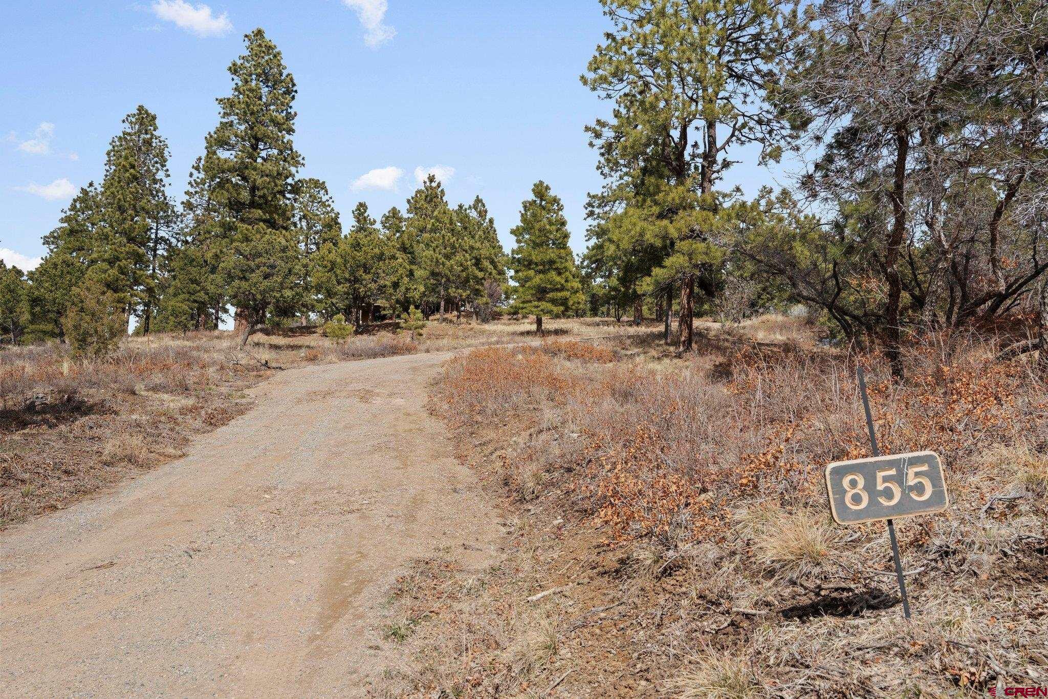 855 Ridge Road Durango, CO 81303 - Photo 32 of 35 a view of a dry yard with trees in the background