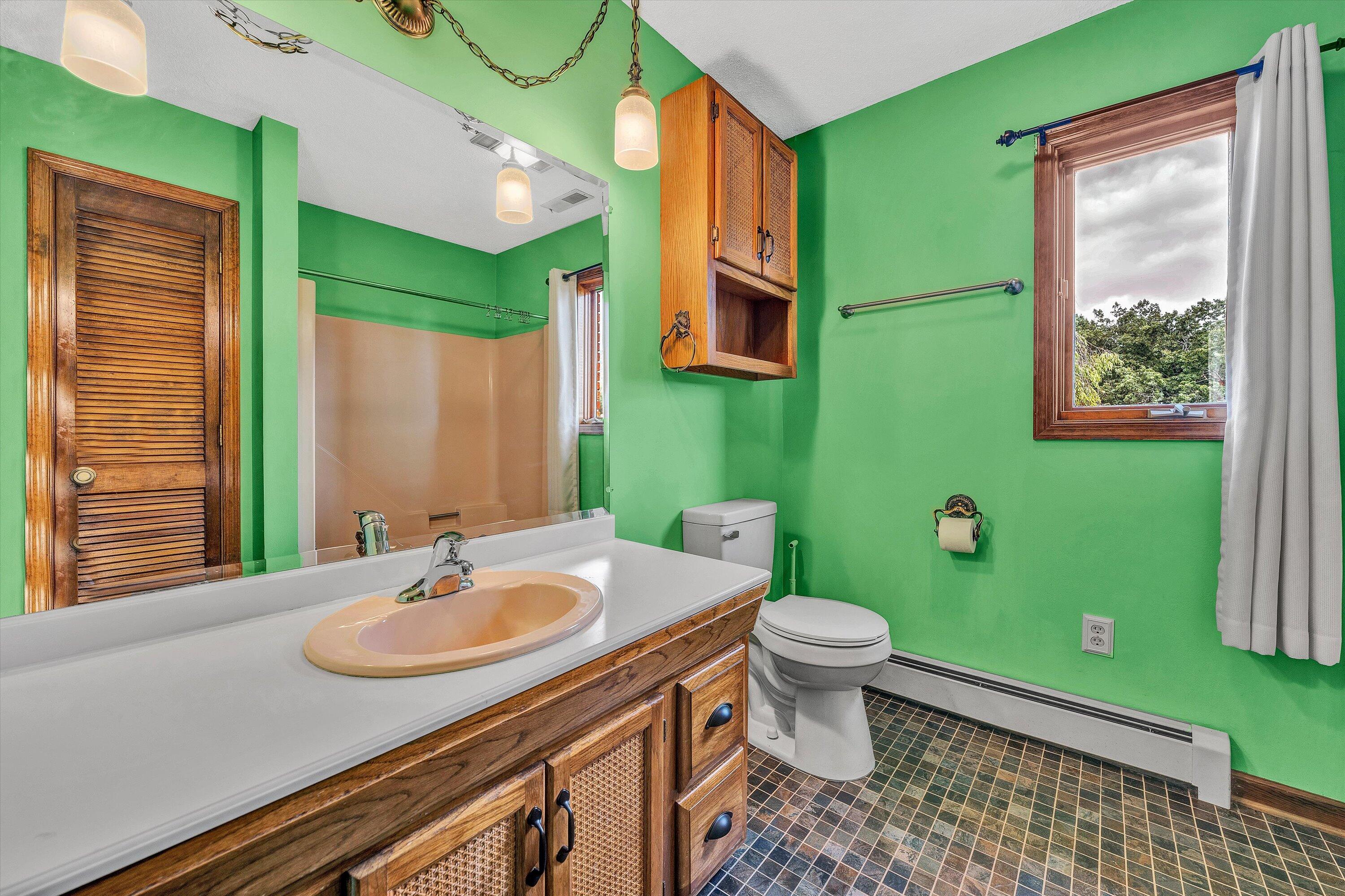 270 Parkside Lane Rocky Mount, VA 24151 - Photo 34 of 55 a bathroom with a sink toilet and green walls