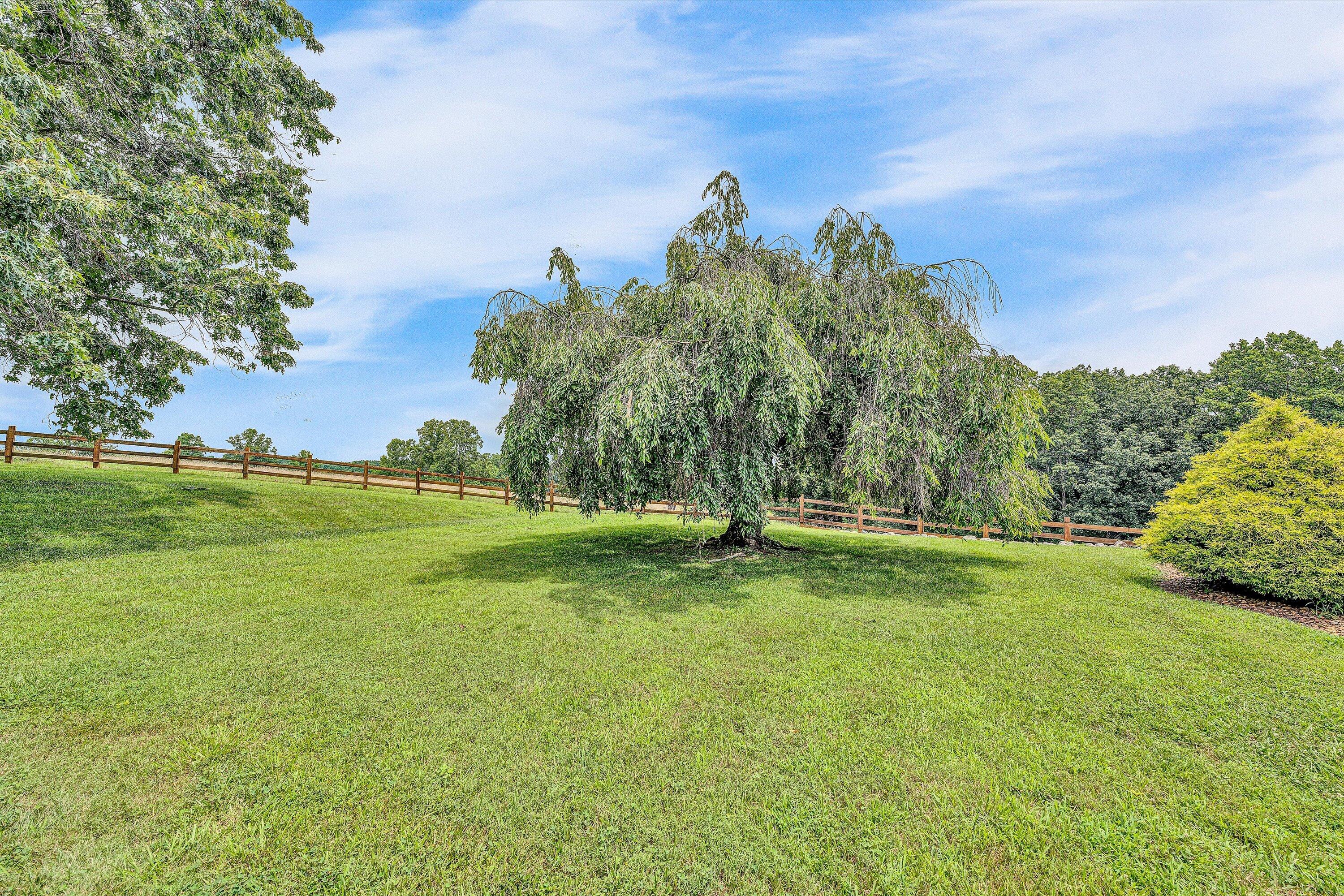 270 Parkside Lane Rocky Mount, VA 24151 - Photo 48 of 55 a view of a field of grass and trees