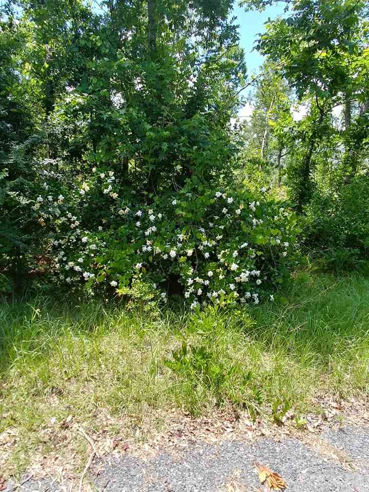 367 Old Church Road Quincy, FL 32351 - Photo 6 of 10 Gallery Image 6