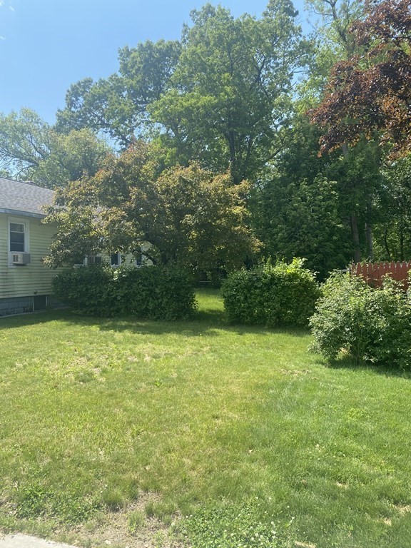 258 Jasper Street Springfield, MA 01109 - Photo 11 of 11