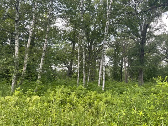 $1,400,000 | Tbd Greer Lake Road, Crosby, MN 56441