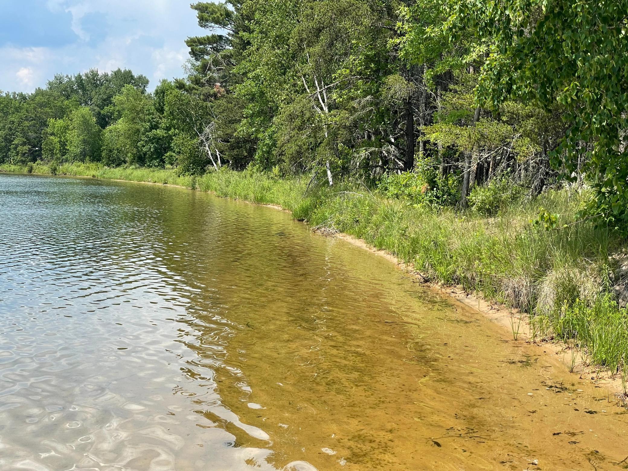 Tbd Greer Lake Road Crosby, MN 56441 - Photo 5 of 30