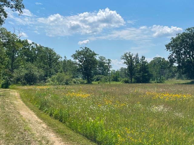Tbd Greer Lake Road Crosby, MN 56441 - Photo 8 of 30