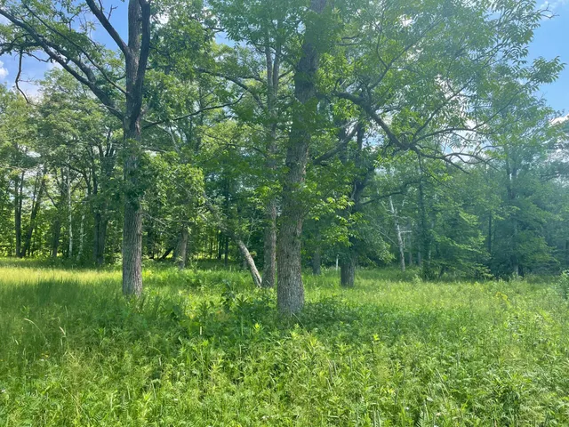 $1,400,000 | Tbd Greer Lake Road, Crosby, MN 56441