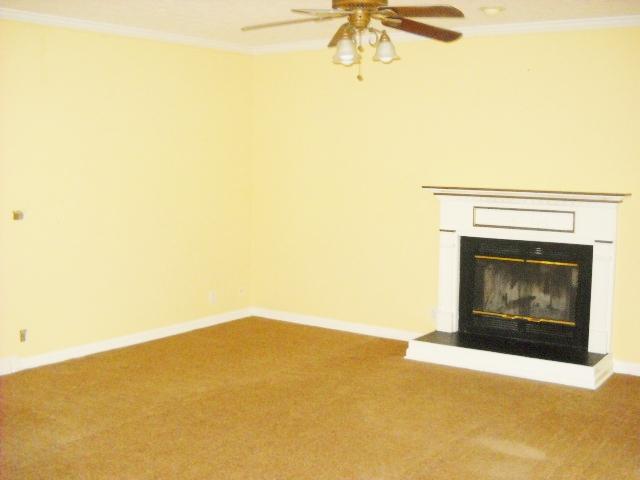 713 Canoe Ridge Point Antioch, TN 37013 - Photo 7 of 12