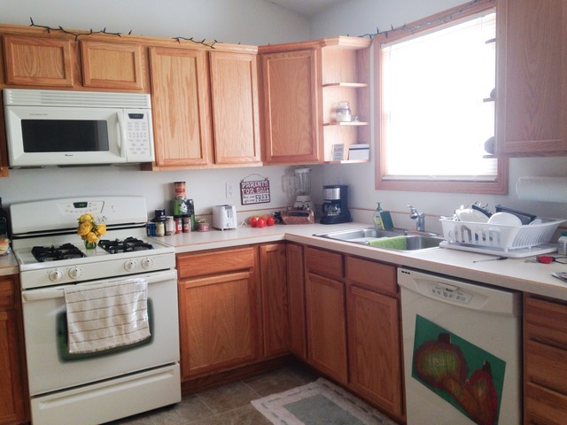 212 Finley Circle Grand Ridge, IL 61325 - Photo 4 of 11 a kitchen with stainless steel appliances granite countertop a sink and cabinets with wooden floor