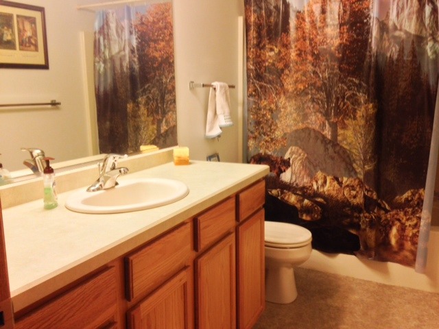 212 Finley Circle Grand Ridge, IL 61325 - Photo 9 of 11 a bathroom with a sink toilet and a mirror