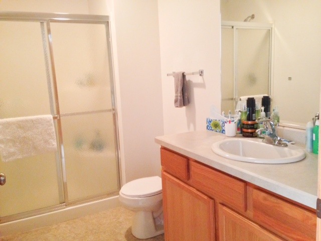 212 Finley Circle Grand Ridge, IL 61325 - Photo 10 of 11 a bathroom with a sink a toilet and shower