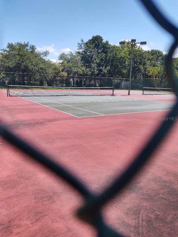 3874 Lake Shore Drive Palm Harbor, FL 34684 - Photo 18 of 21