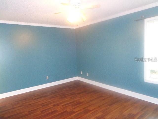 3874 Lake Shore Drive Palm Harbor, FL 34684 - Photo 10 of 21