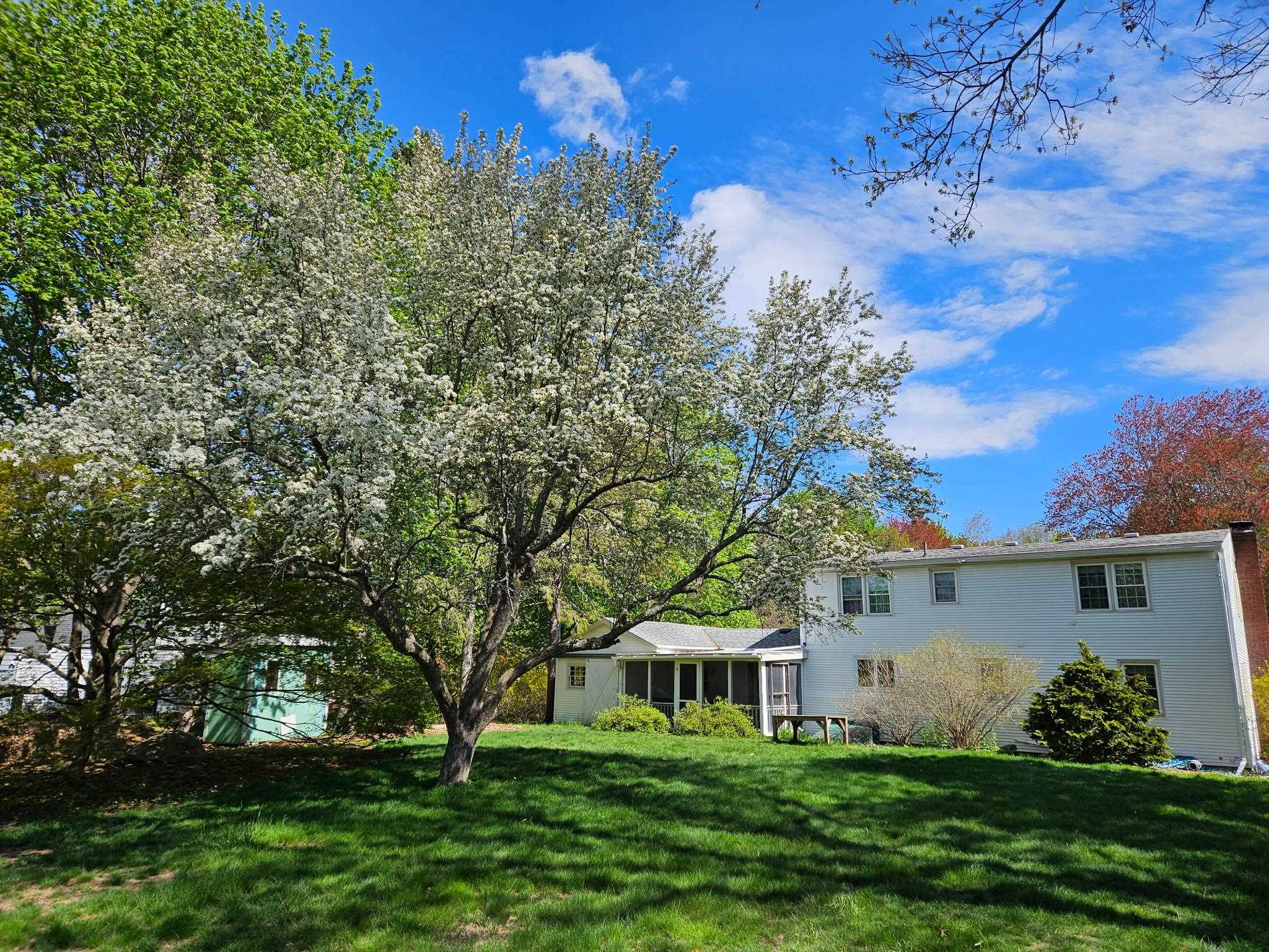2 Shirley Lane Stratham, NH 03885 - Photo 37 of 39