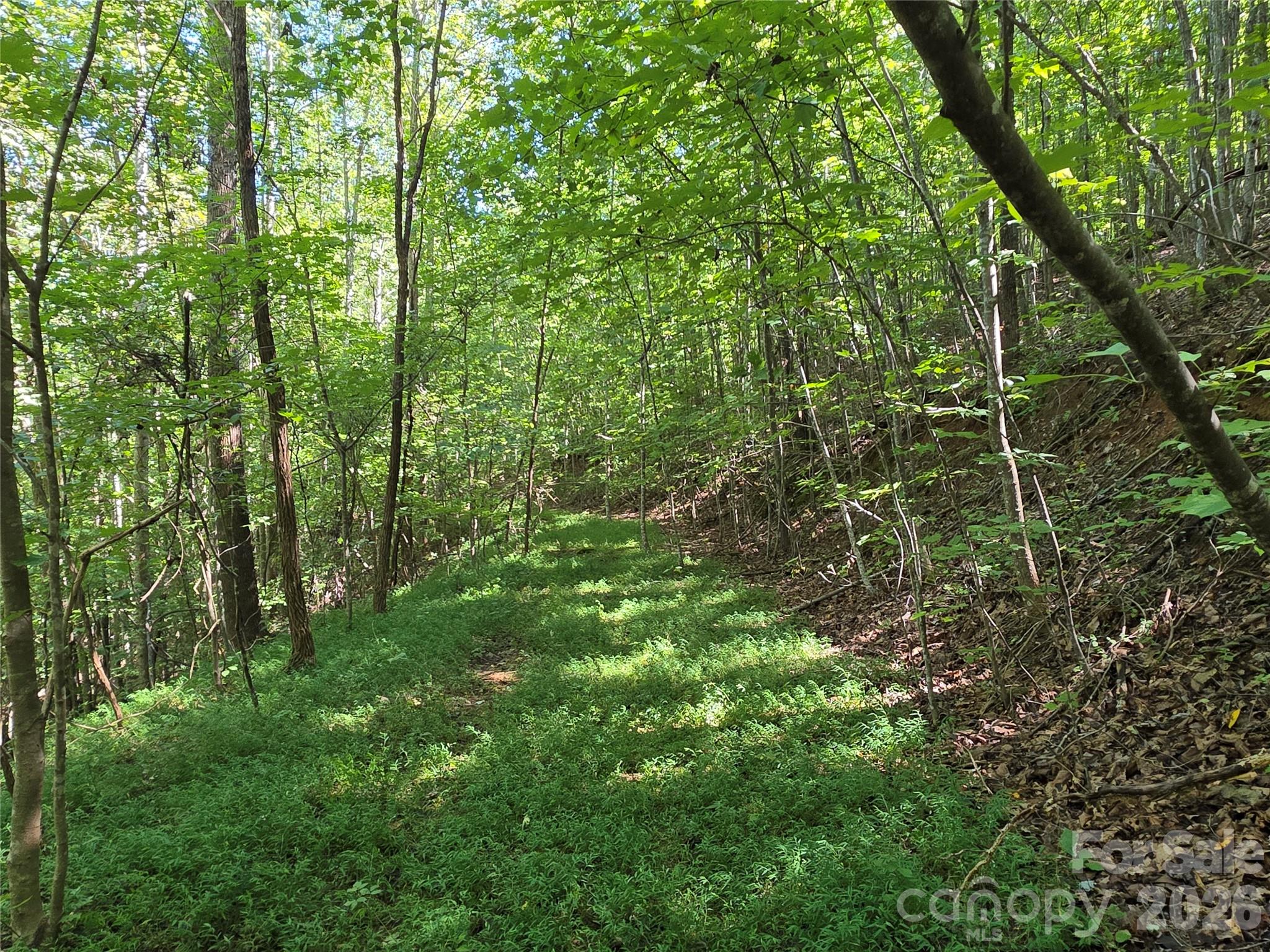 19 Meditation Rdg Dr Extension Nebo, NC 28761 - Photo 7 of 30 Gallery Image 7