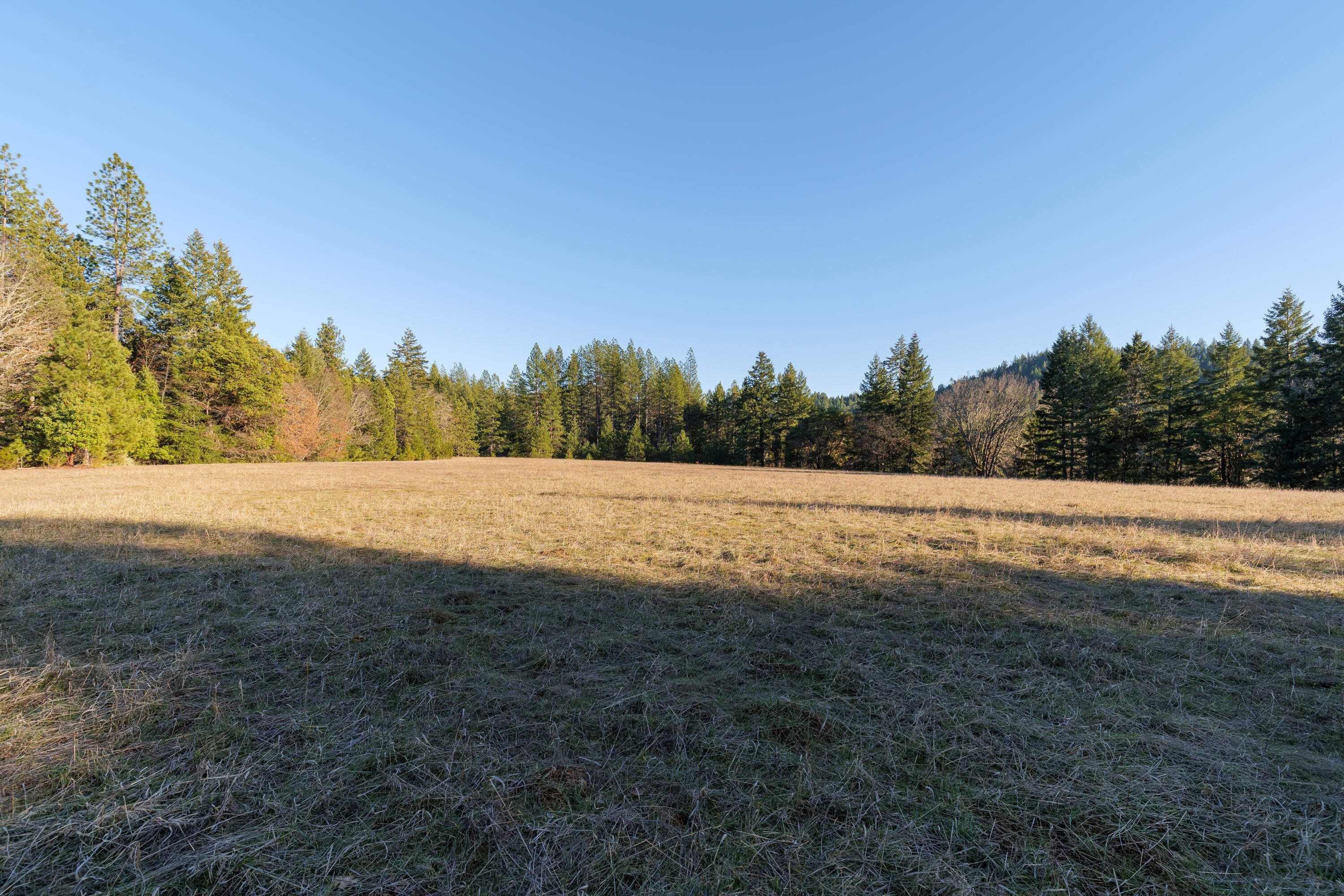 1430 Draper Valley Road Selma, OR 97538 - Photo 13 of 32 1430 Draper Valley Rd-016