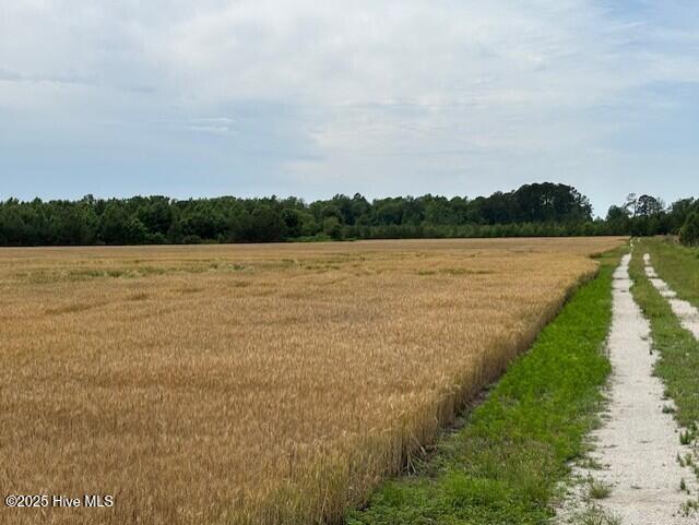 425 Biddle Road Dover, NC 28526 - Photo 38 of 52 thumbnail_IMG_0898