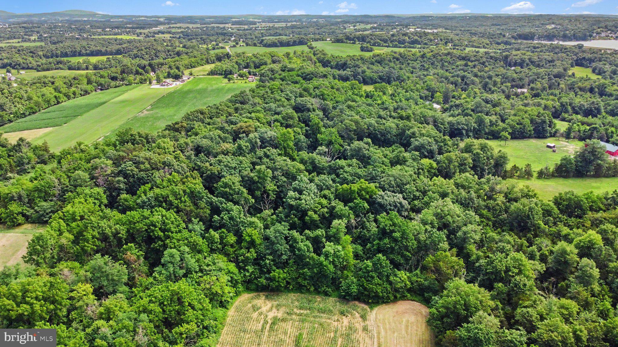 0 Latimore Valley Road York Springs, PA 17372 - Photo 17 of 20 Gallery Image 17