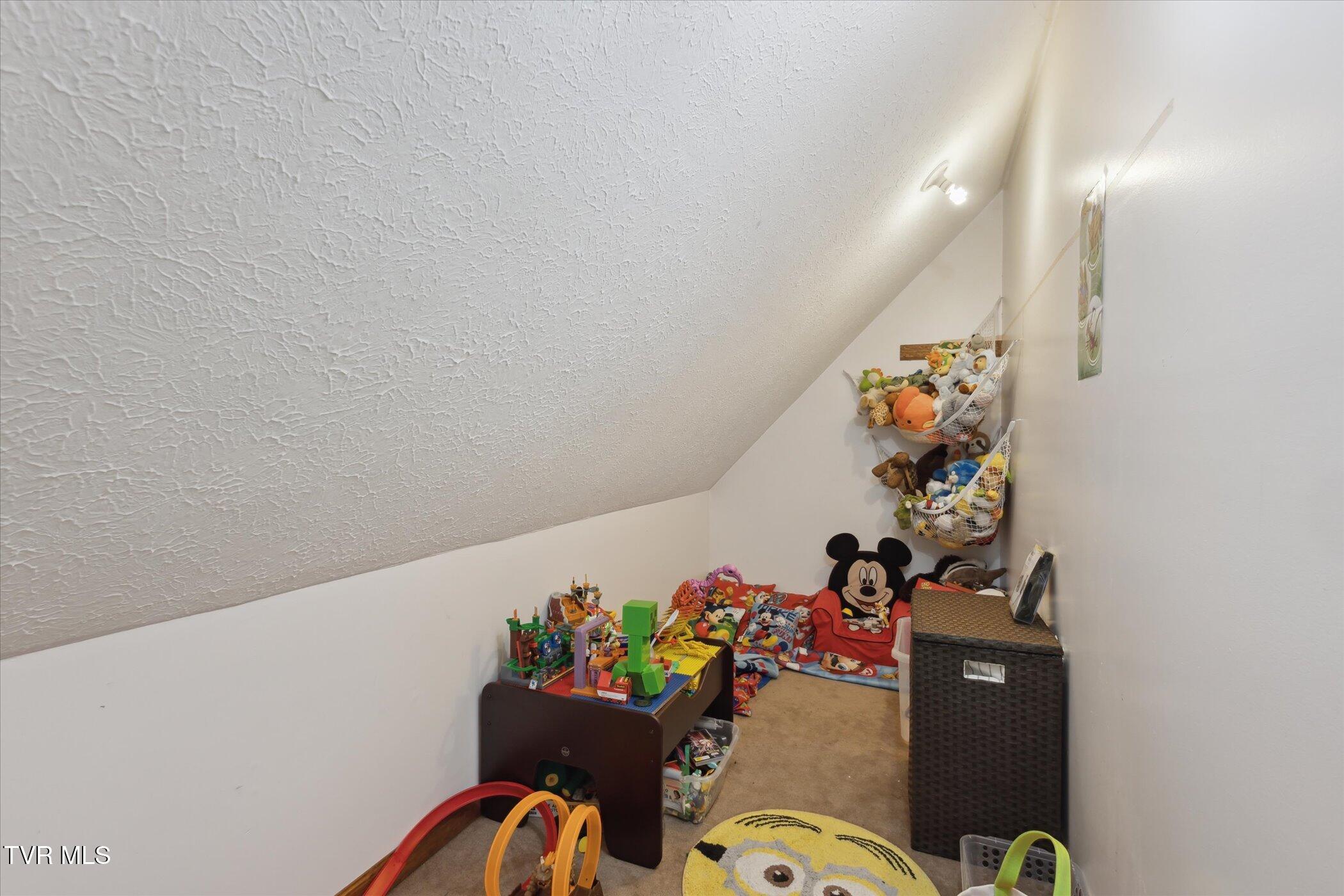 4879 Back Valley Road Big Stone Gap, VA 24219 - Photo 35 of 55 Play room