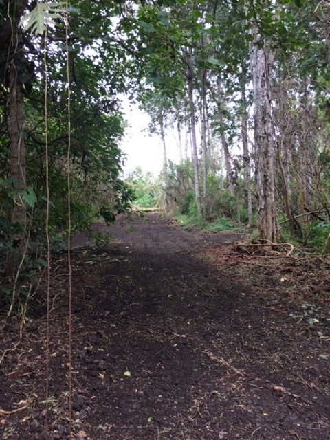 88-2762 Honomalino Road Captain Cook, HI 96704 - Photo 1 of 4 Gallery Image 1