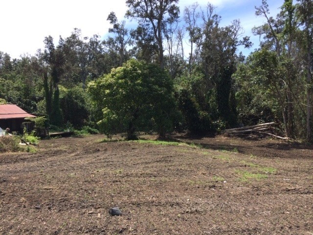 88-2762 Honomalino Road Captain Cook, HI 96704 - Photo 4 of 4 Gallery Image 4
