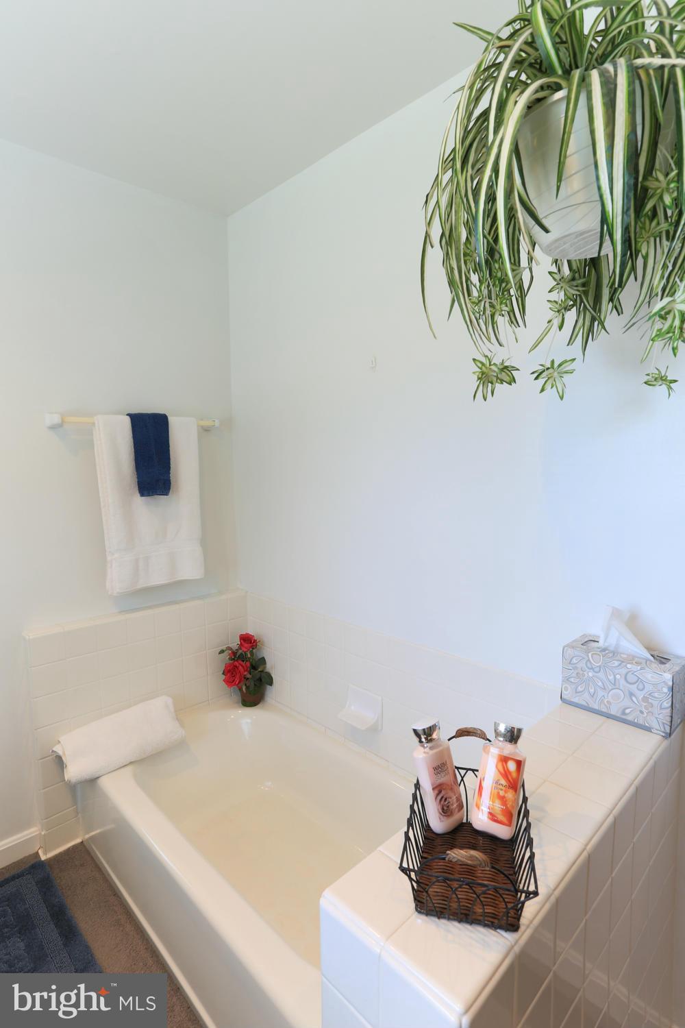 444 North Patuxent Road Odenton, MD 21113 - Photo 22 of 30 Bath (Master)