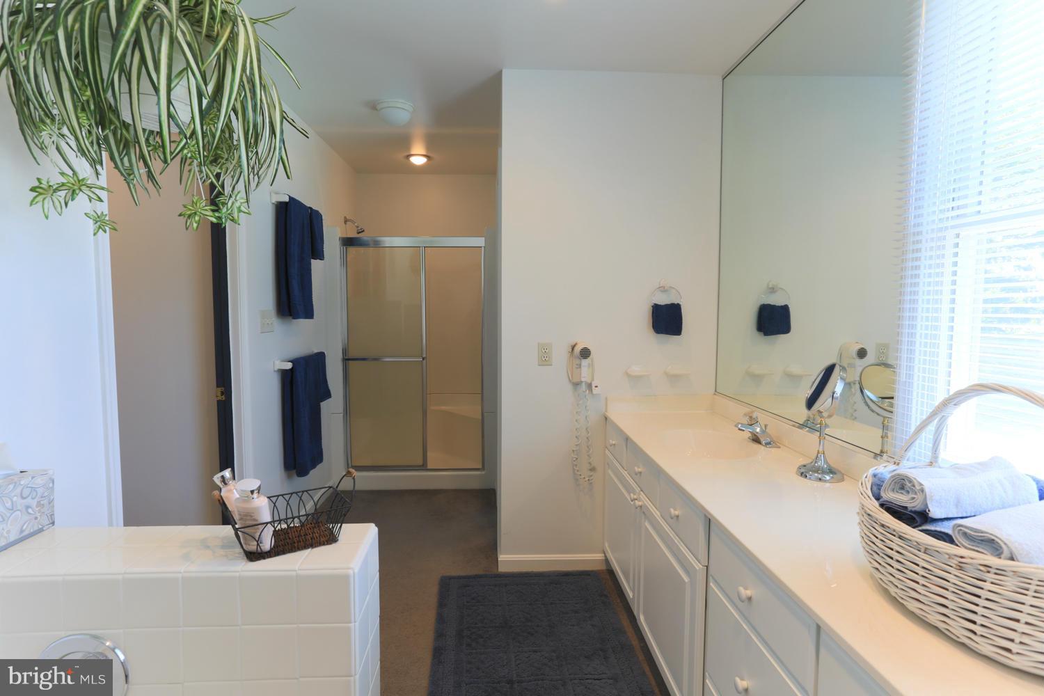 444 North Patuxent Road Odenton, MD 21113 - Photo 23 of 30 Bath (Master)