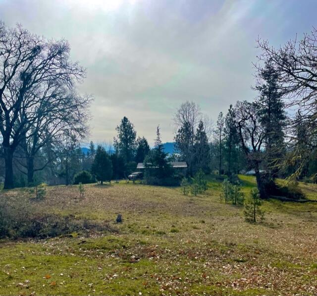 241 Gunnell Road Grants Pass, OR 97526 - Photo 11 of 23 a view of road with large trees
