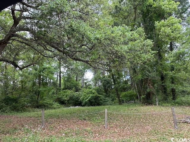 View of yard featuring a forest view