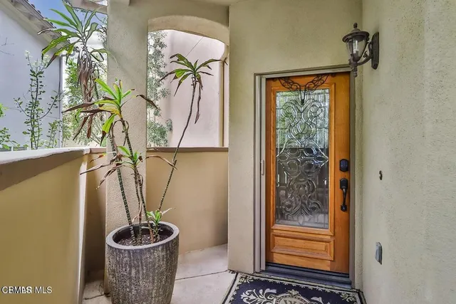 a view of a potted plant in front of a door