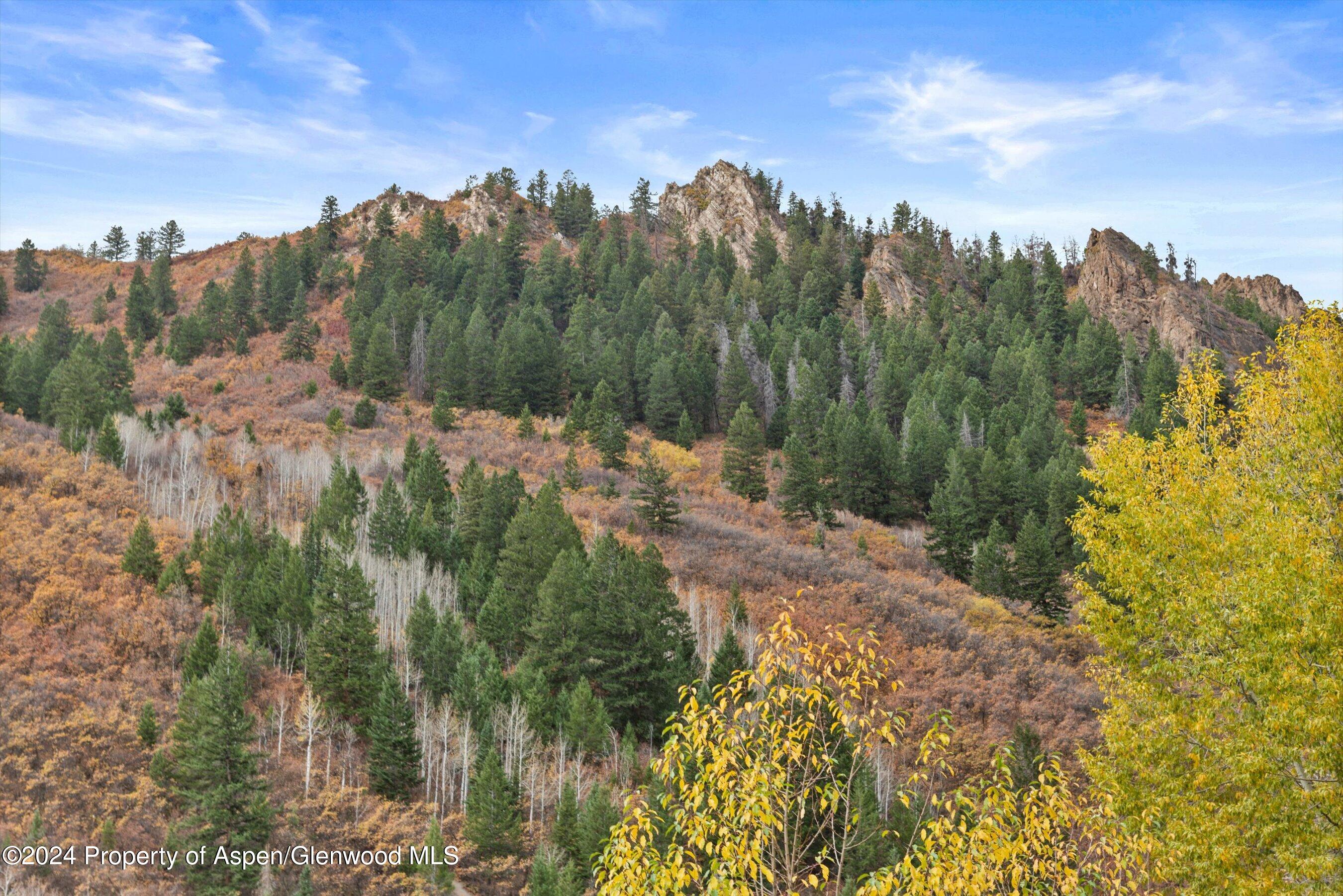205 East Durant Avenue, Unit 1C Aspen, CO 81611 - Photo 11 of 12 a view of a city with lush green forest