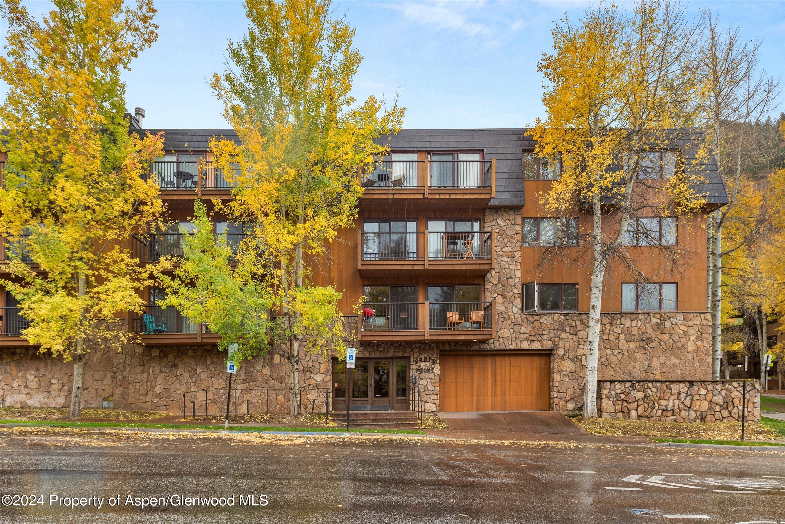 205 East Durant Avenue, Unit 1C Aspen, CO 81611 - Photo 12 of 12 a front view of a building with a garden