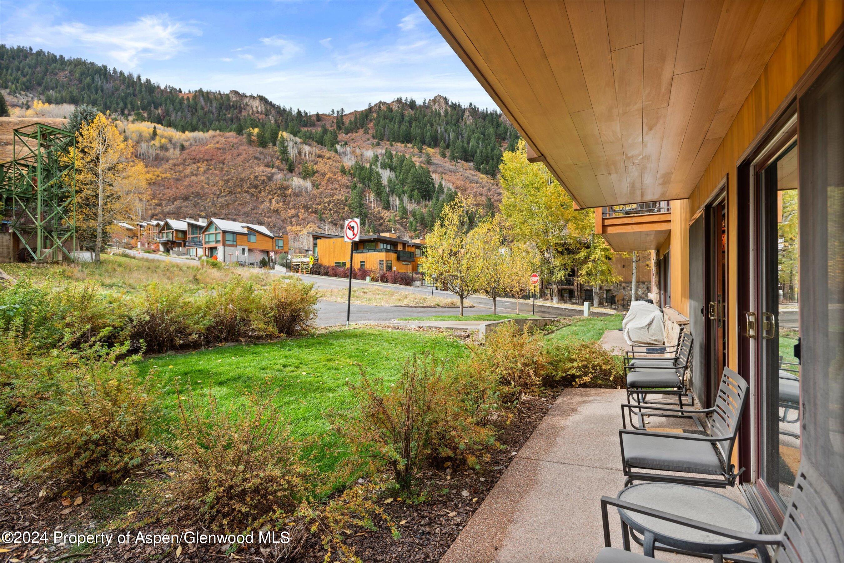 205 East Durant Avenue, Unit 1C Aspen, CO 81611 - Photo 10 of 12 a view of a garden