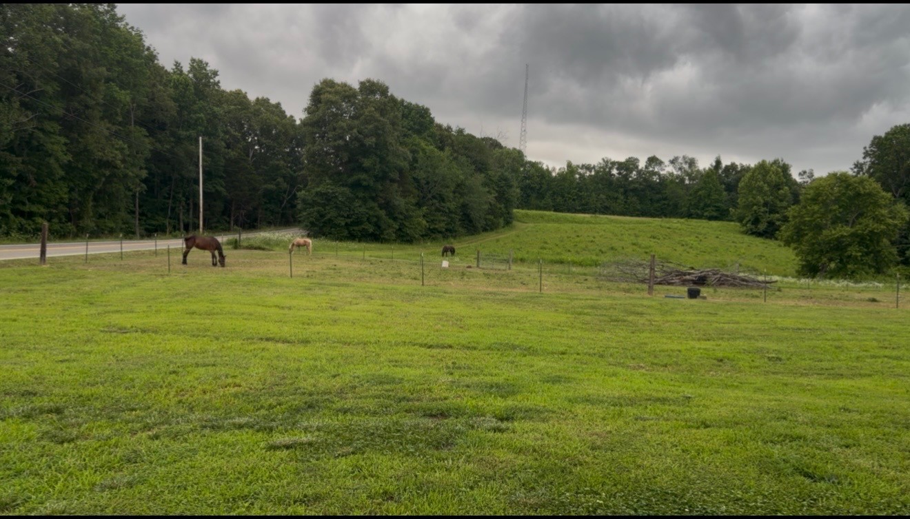 181 Hayes Ridge Road Indian Mound, TN 37079 - Photo 33 of 35