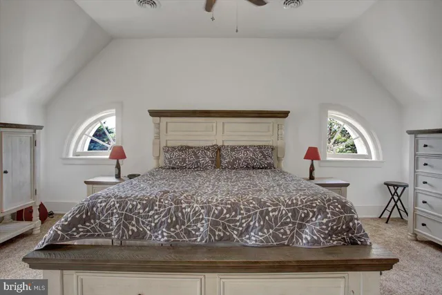 a view of a tree in the middle of a yard