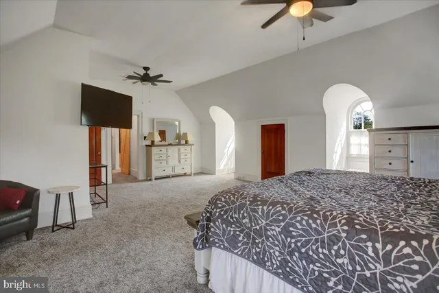 a view of a park with large trees