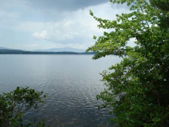 Lot 1 Geneva Point Road Moultonborough, NH 03254 - Photo 1 of 1 Gallery Image 1