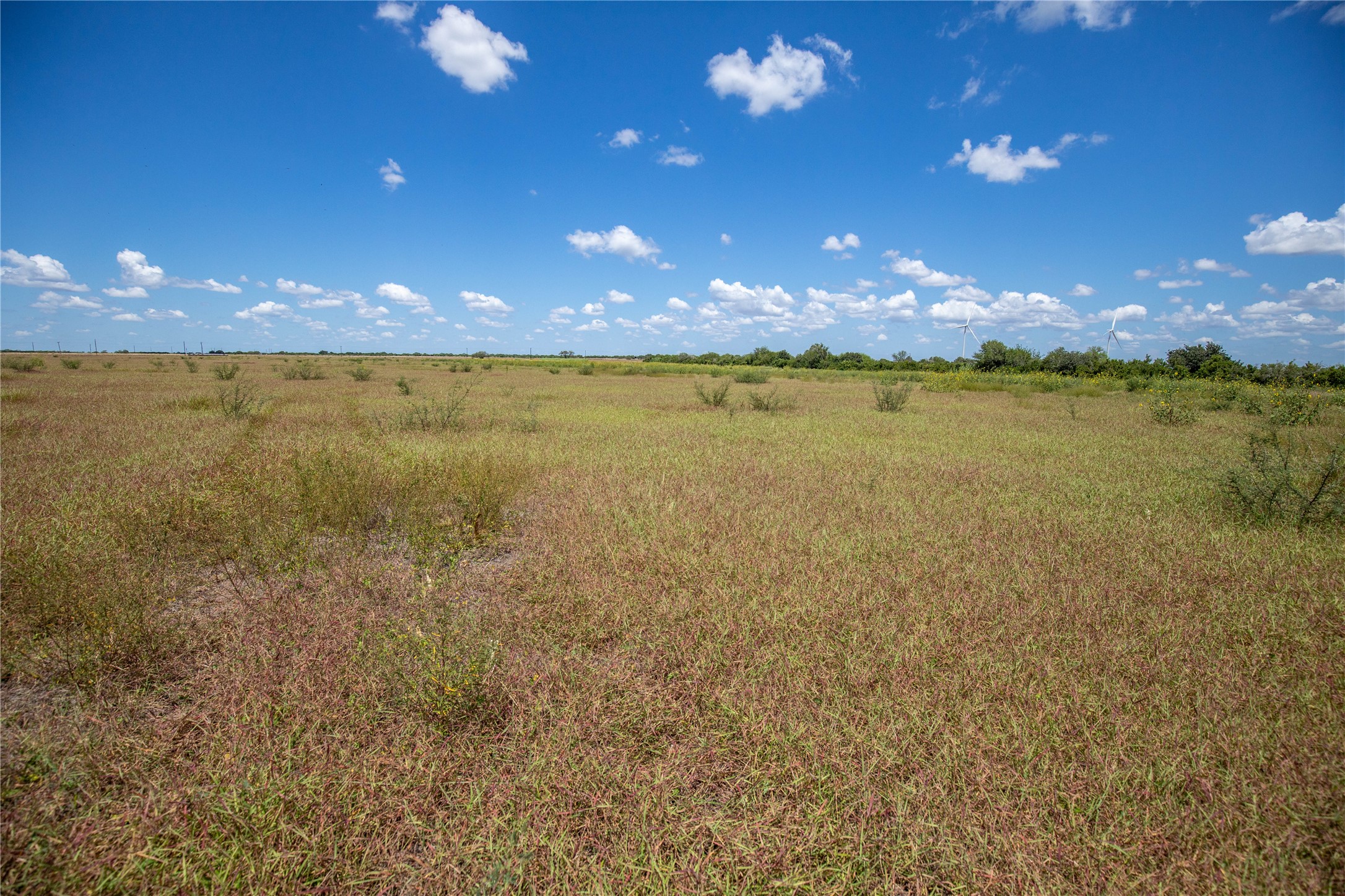 0 County Road 647 Mathis, TX 78368 - Photo 25 of 40 Gallery Image 25