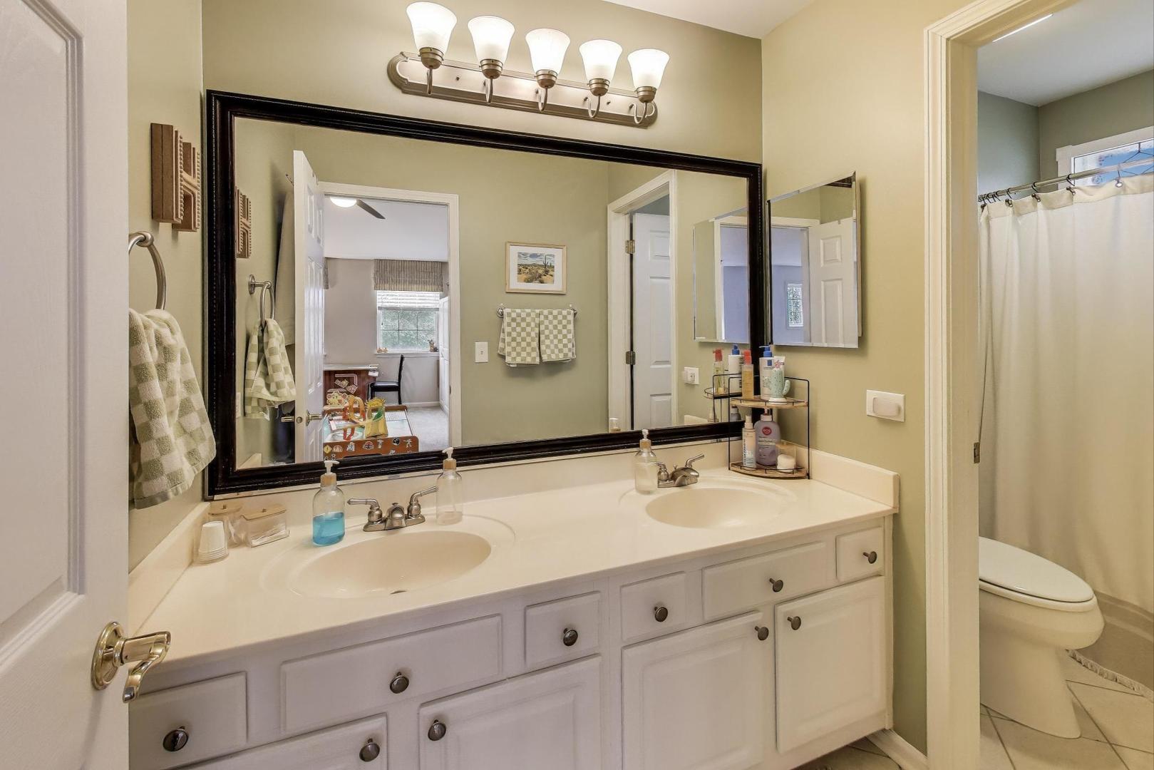 1010 Evergreen Street Mundelein, IL 60060 - Photo 22 of 28 a bathroom with a sink vanity granite and a mirror