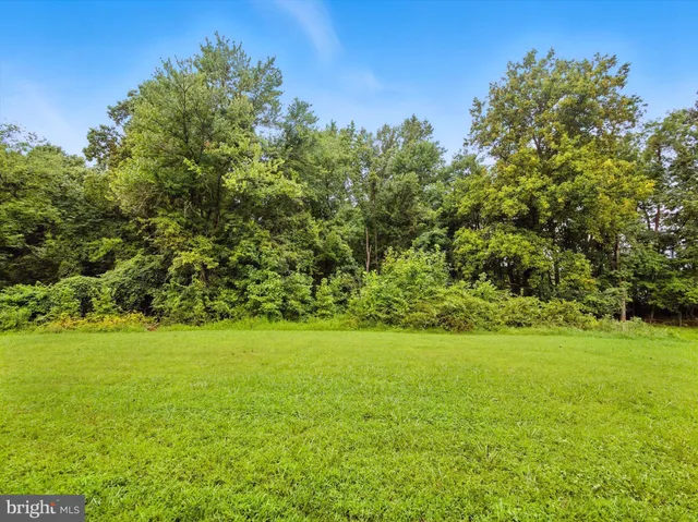 a view of a green field with lots of bushes