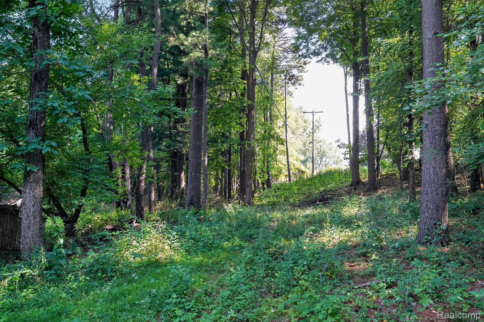 5361 Clark Road Bath, MI 48808 - Photo 56 of 62 67-5361-Clark-Rd-WindowStill-Photography.jpg