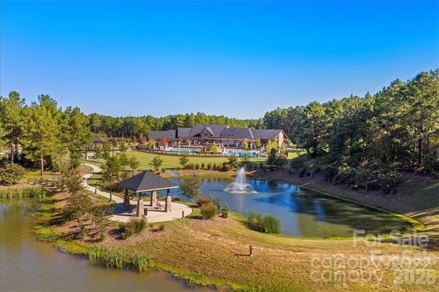 6223 Chimney Bluff Road Lancaster, SC 29720 - Photo 48 of 48
