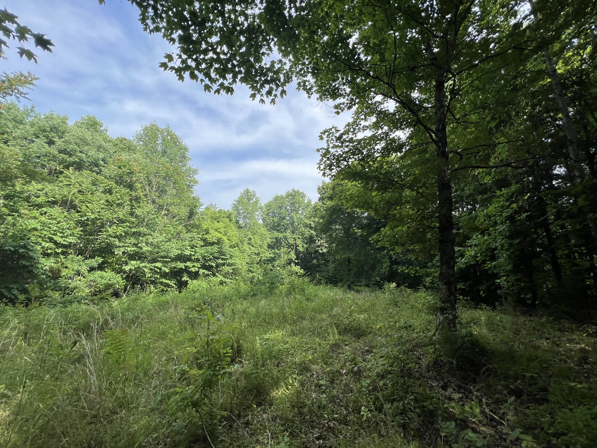 186 Farmers Exchange Road Centerville, TN 37033 - Photo 16 of 32 Gallery Image 16