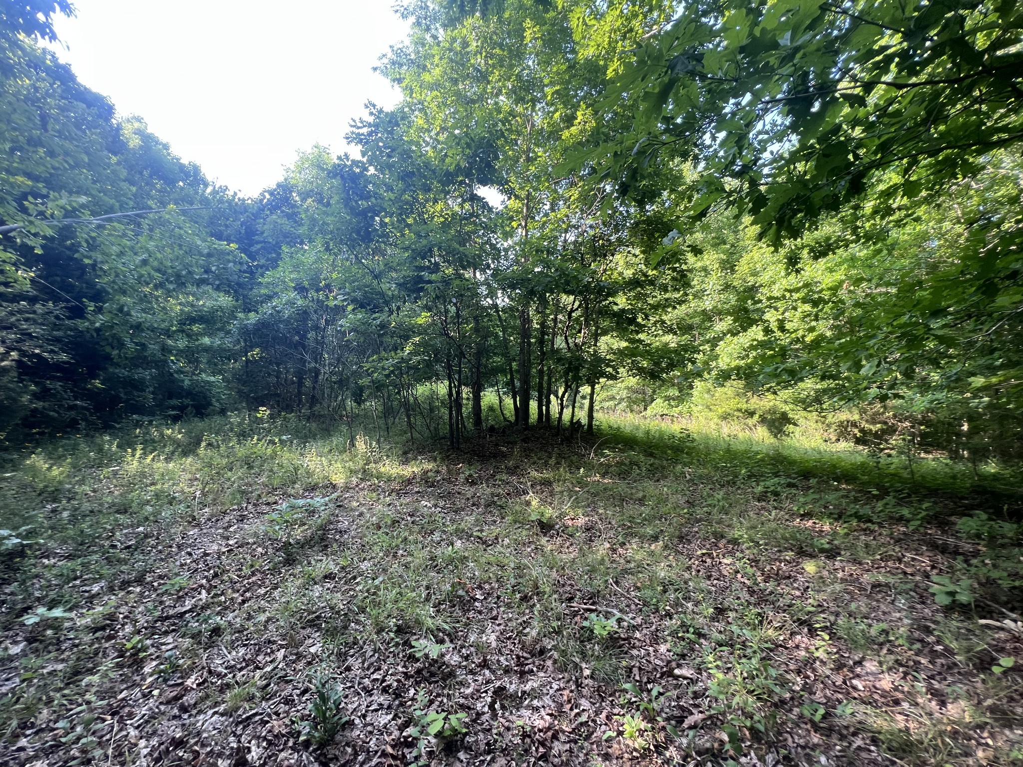186 Farmers Exchange Road Centerville, TN 37033 - Photo 23 of 32 Gallery Image 23