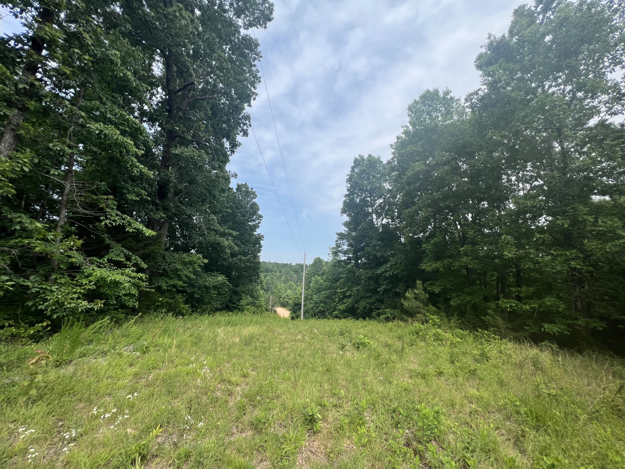 186 Farmers Exchange Road Centerville, TN 37033 - Photo 5 of 32 Gallery Image 5