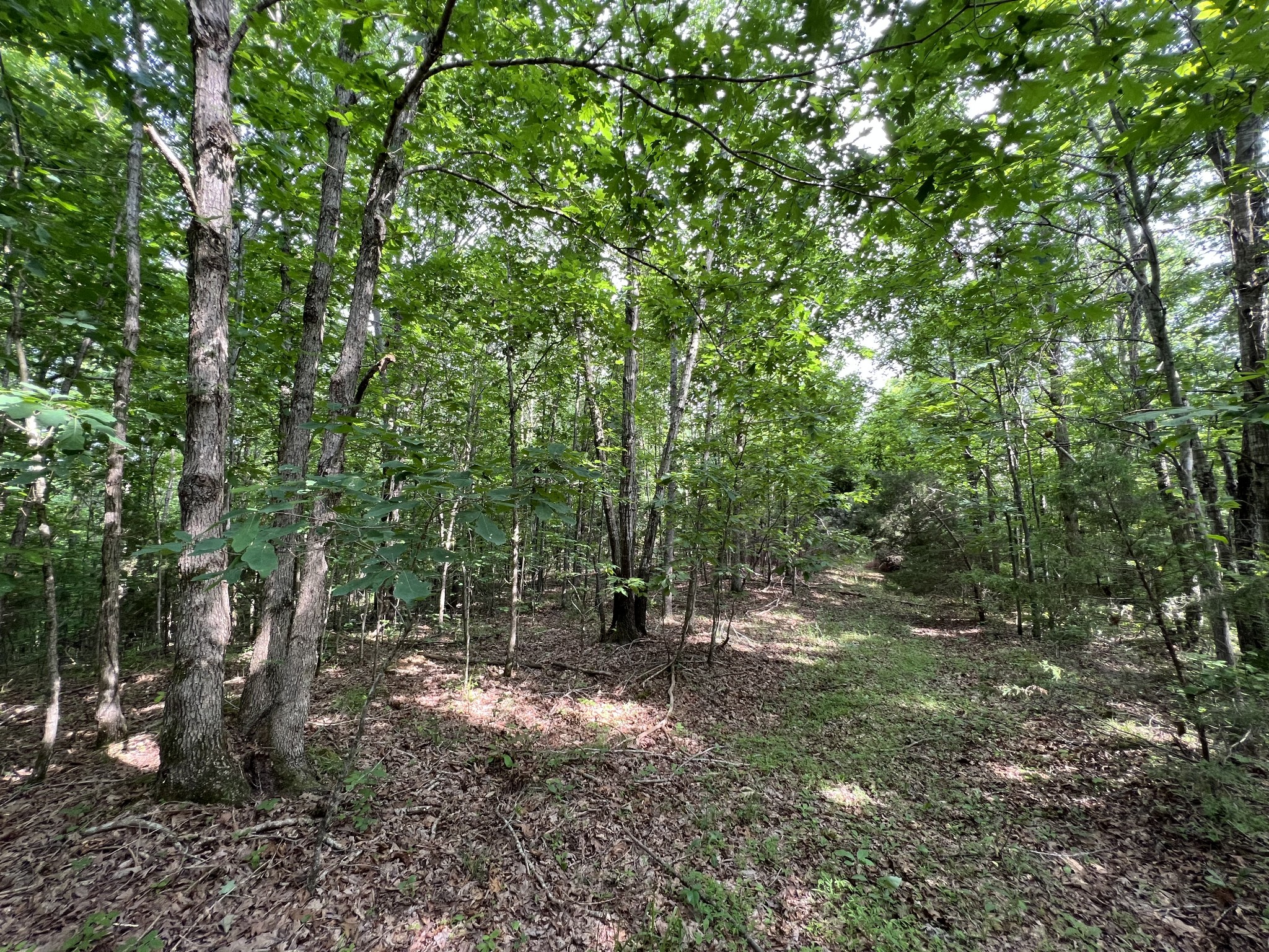 186 Farmers Exchange Road Centerville, TN 37033 - Photo 6 of 32 Gallery Image 6